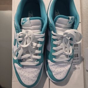 Nike Women's Teal and White Low Top Dunks